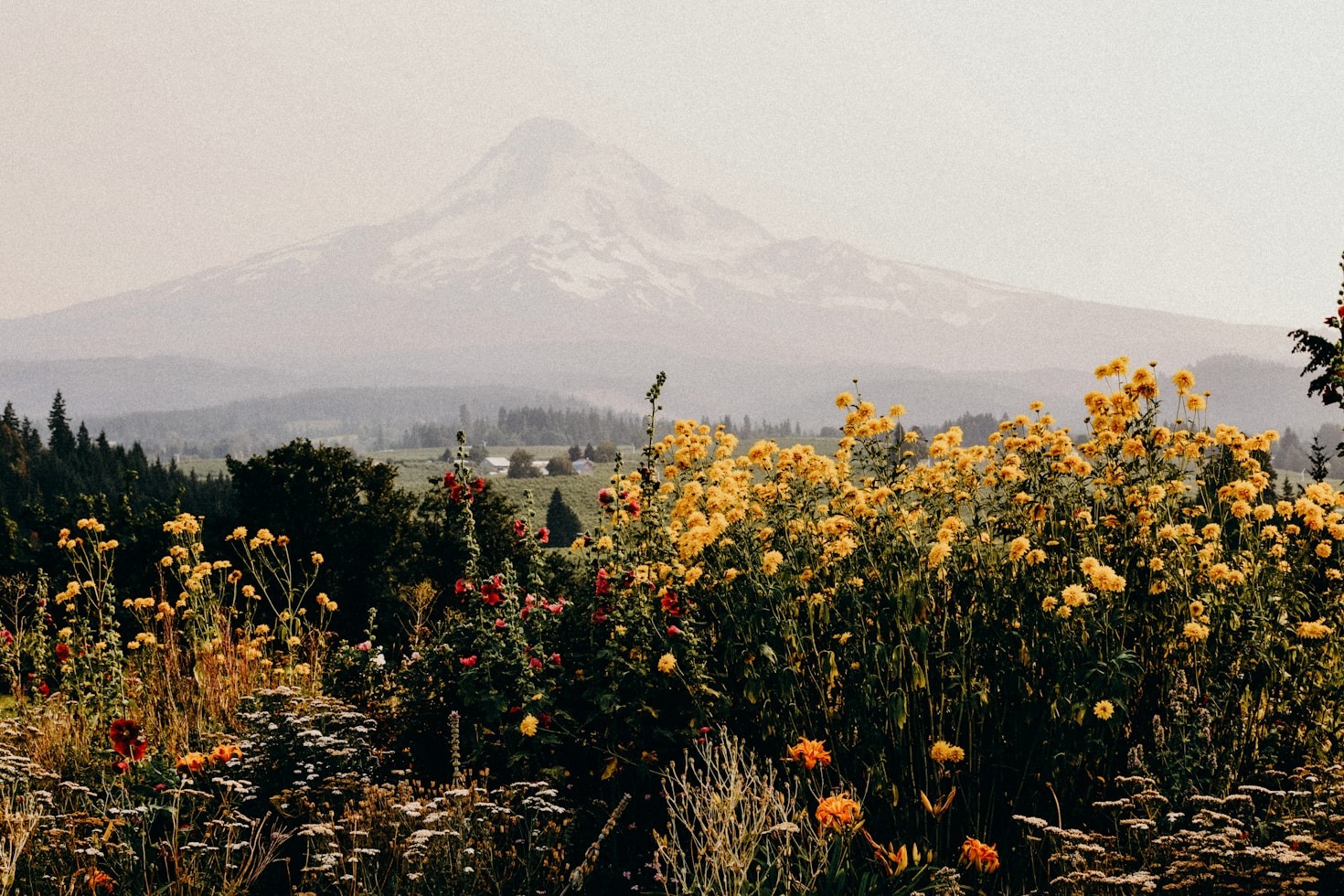 Custom Photography Projects: Bringing Your Vision to Life